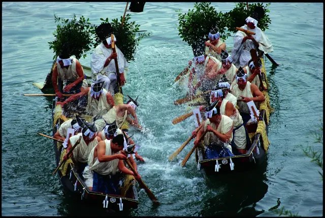 ⛩️ 미호 신사 (Miho Shrine) 이미지 10
